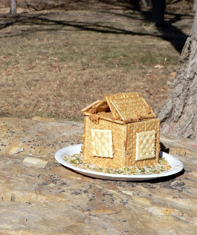 Edible Architecture In Golden Light