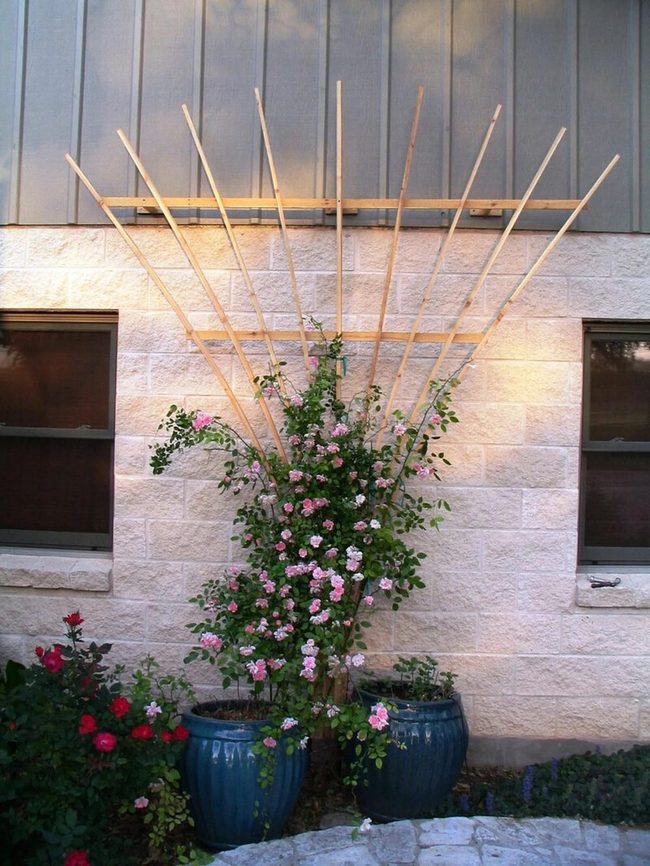 Green Geometry Fan Trellis