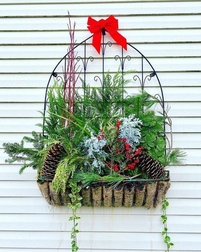 Evergreen Planters With Cascading Pine