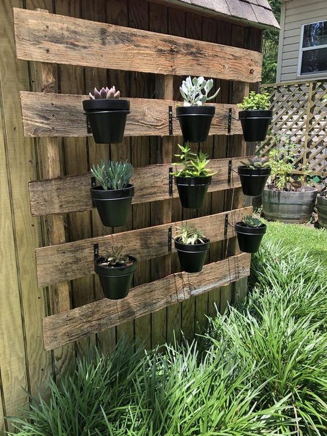 Wooden Wall Succulent Garden