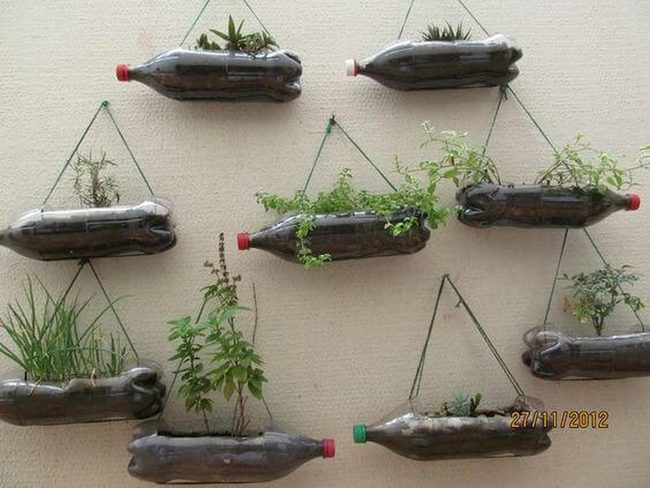 Green Bottle Herb Wall