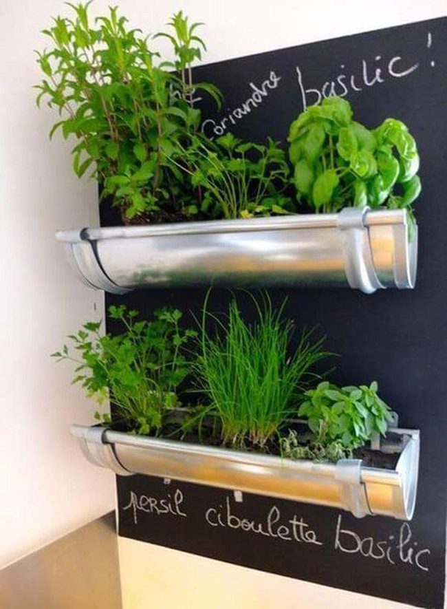 Industrial Metal Herb Wall