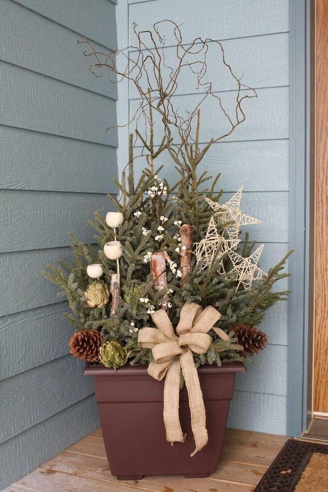 Pine Planter With Fairy Lights