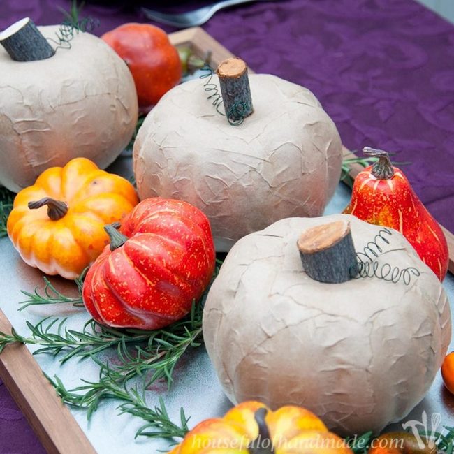 Cream Pumpkins On Purple Depth