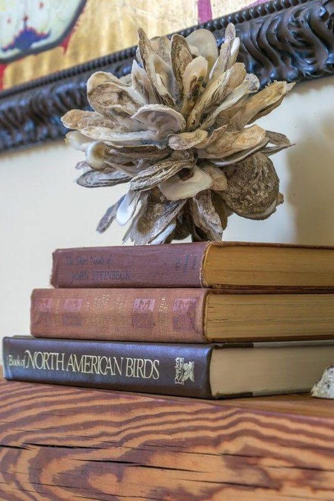 Oyster Shells On Weathered Books