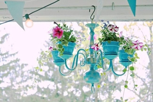 Chandelier Succulent Garden