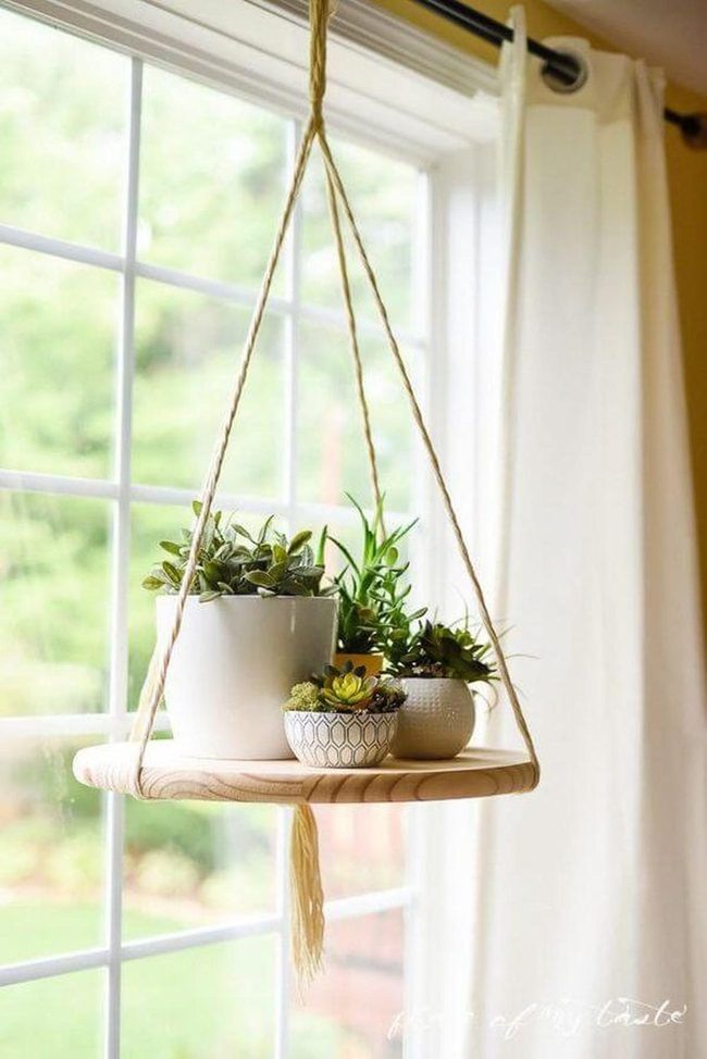 Wooden Shelves, Cascading Green