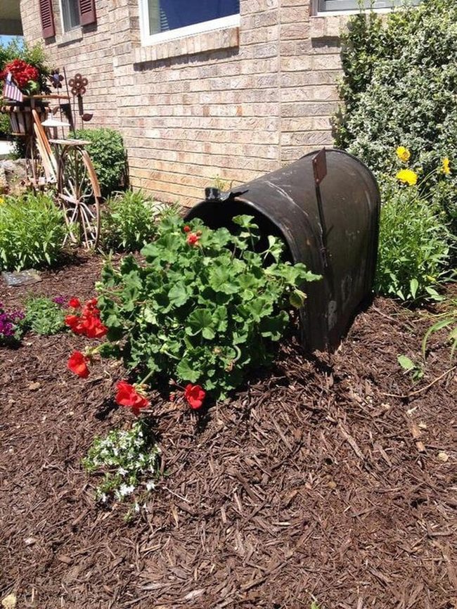 Blooming Mailbox Planters