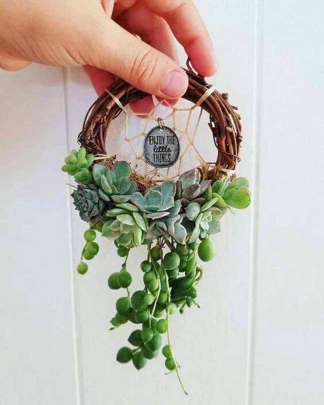 Green Twigs Hanging Garden
