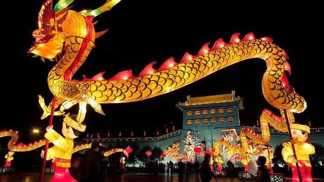 Glowing Dragons Light The Night