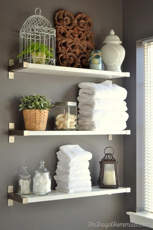 White Shelves, Gray Walls, Green Plant