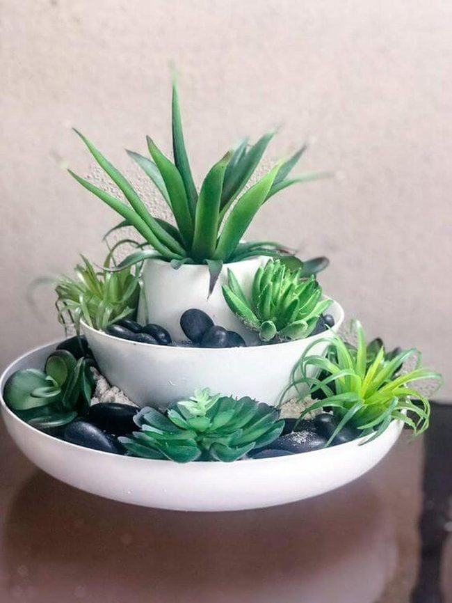 Green Tiered Succulent Layers