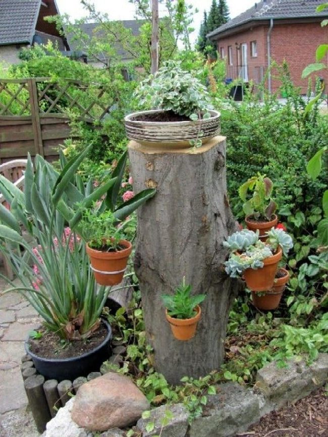 Hanging Plants From Tree Stump