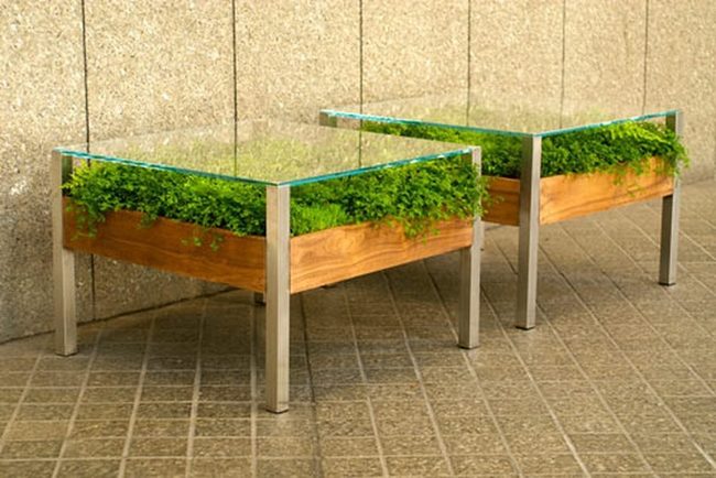 Glass Tabletop Succulent Garden