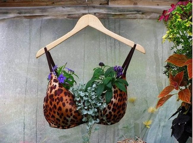Leopard Bra Meets Purple Blooms