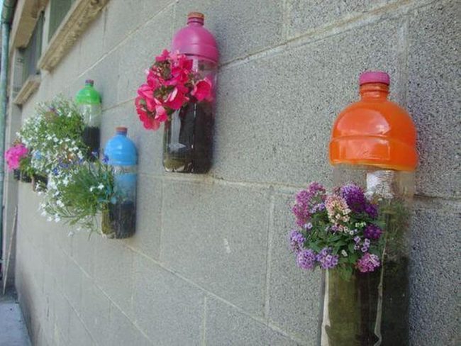 Recycled Bottles, Blooming Walls
