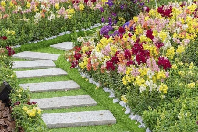 Stone Pathways Through Green