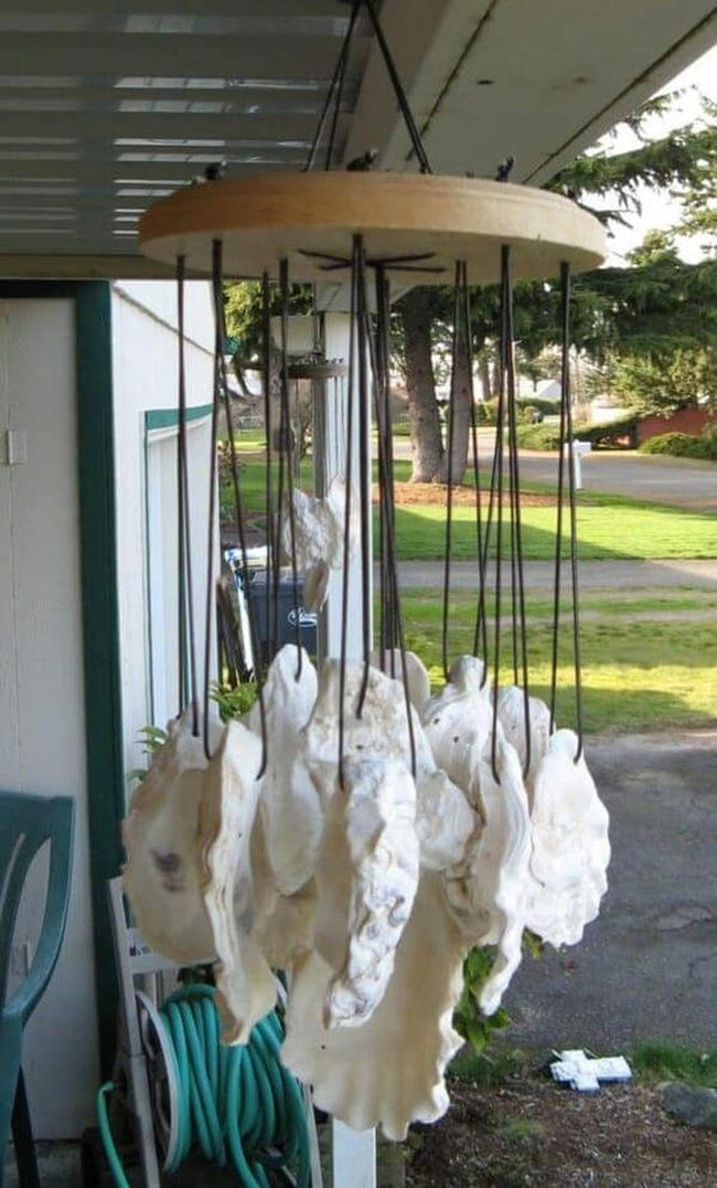 Oyster Shell Wind Chime