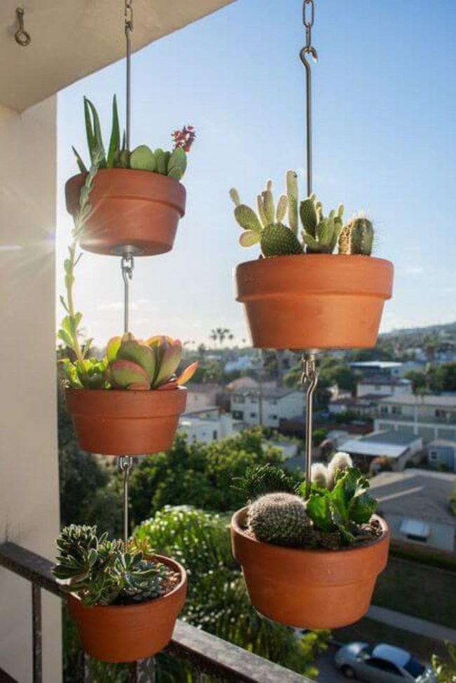 Terracotta Tiered Succulent Garden