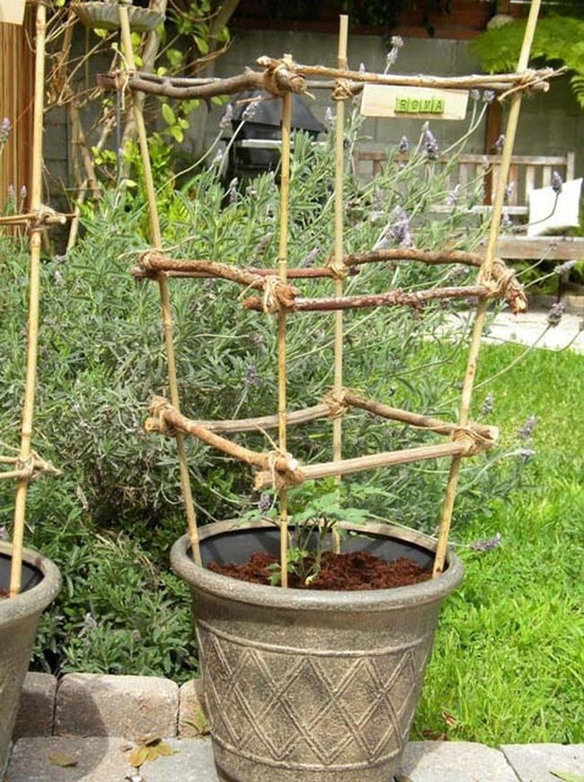 Bamboo Stakes Garden Support