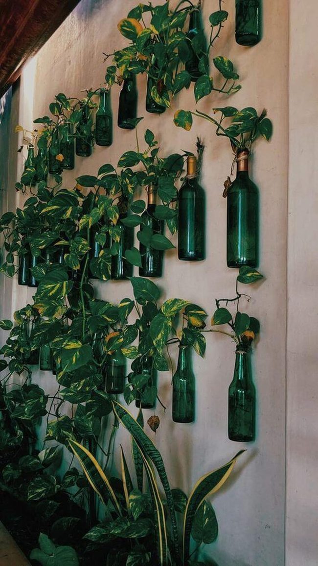 Green Glass Vertical Garden