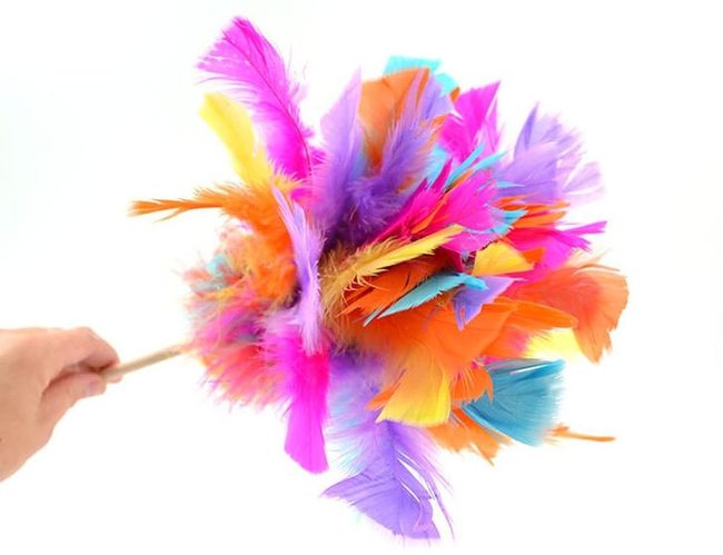 Colorful Feathers, Light Impact