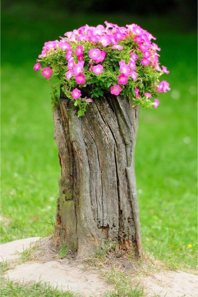 Flowers In Weathered Wood