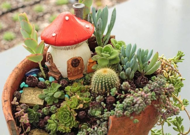 Miniature Succulent Storyscape