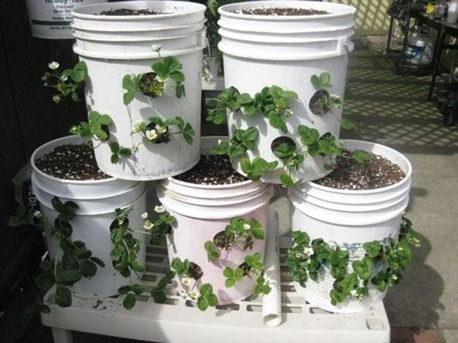 Stacked Bucket Vertical Garden