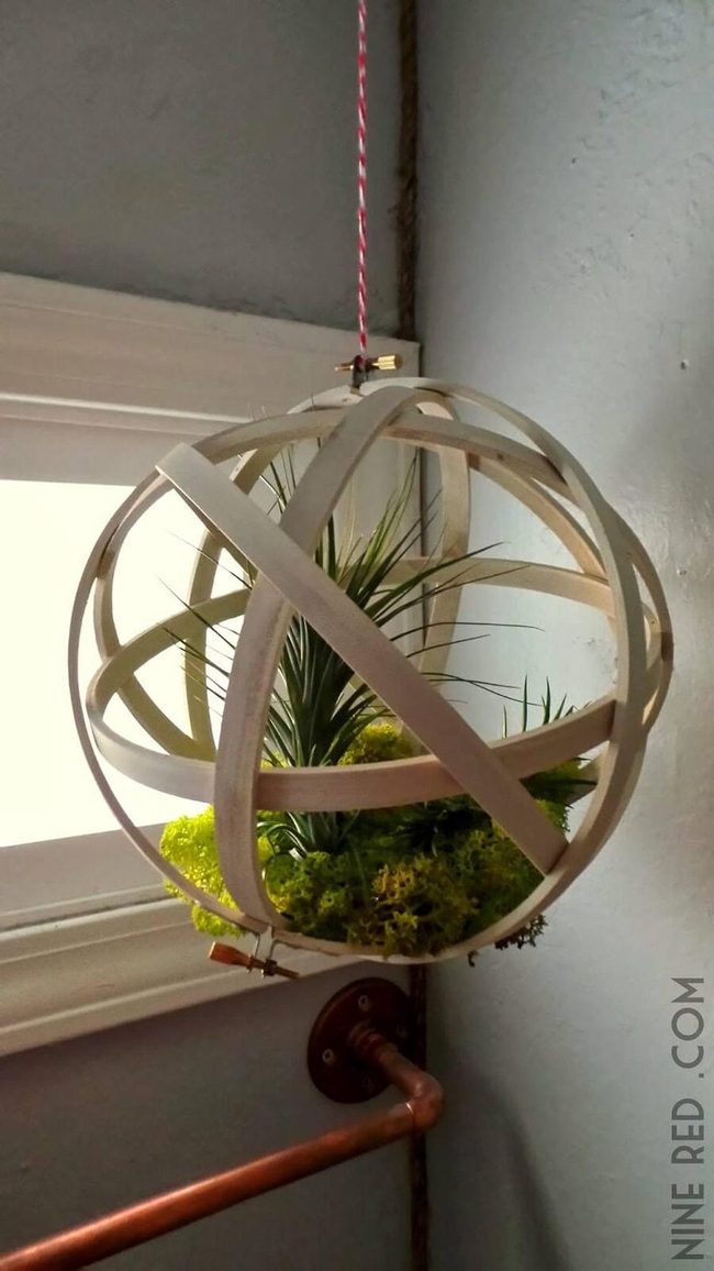 Green Glass Sphere Terrarium