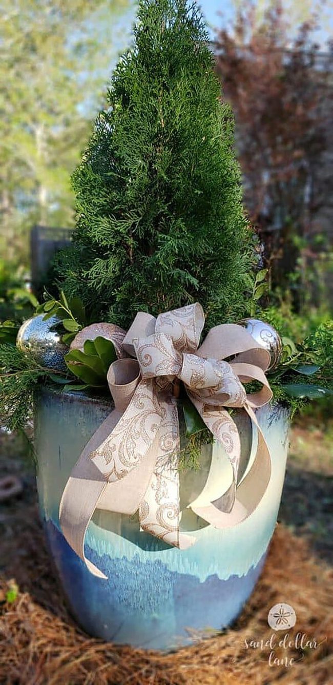 Gold Bulbs Winter Pots