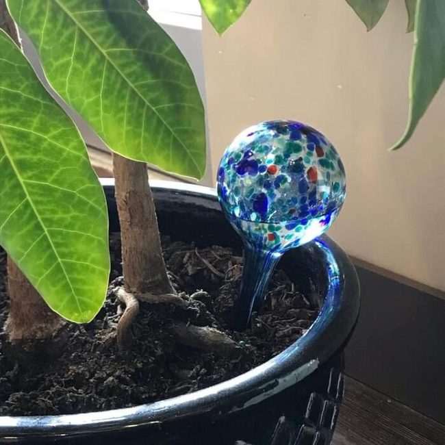 Colorful Glass Watering Spheres