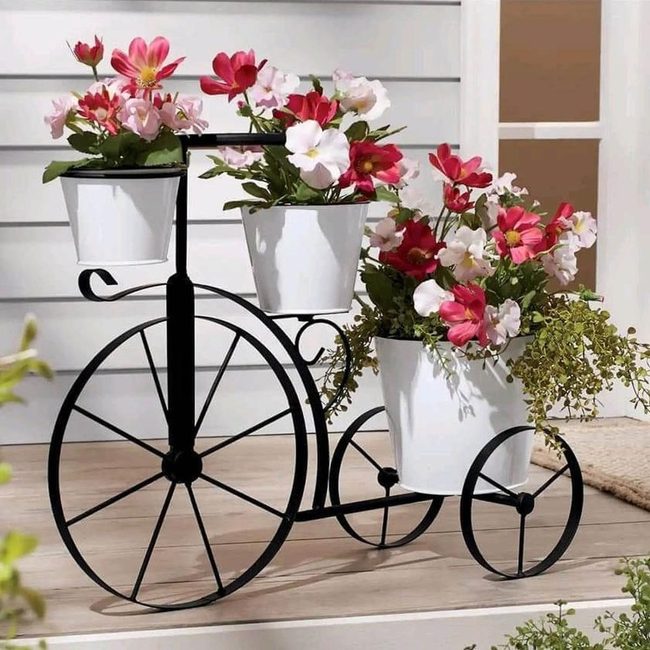 Black Bicycle Garden Blooms