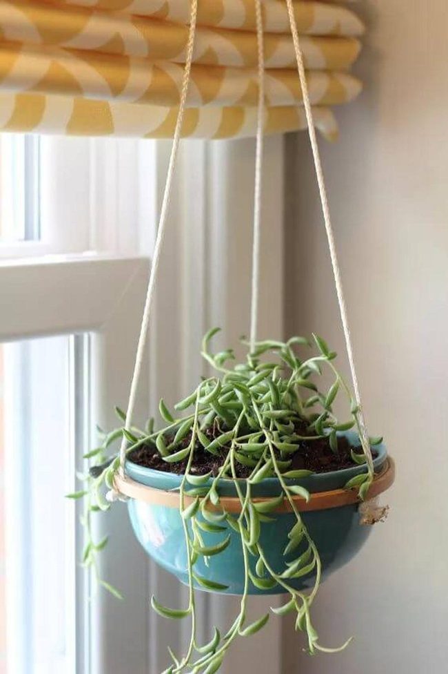 Turquoise Ceramic Succulent Cascade