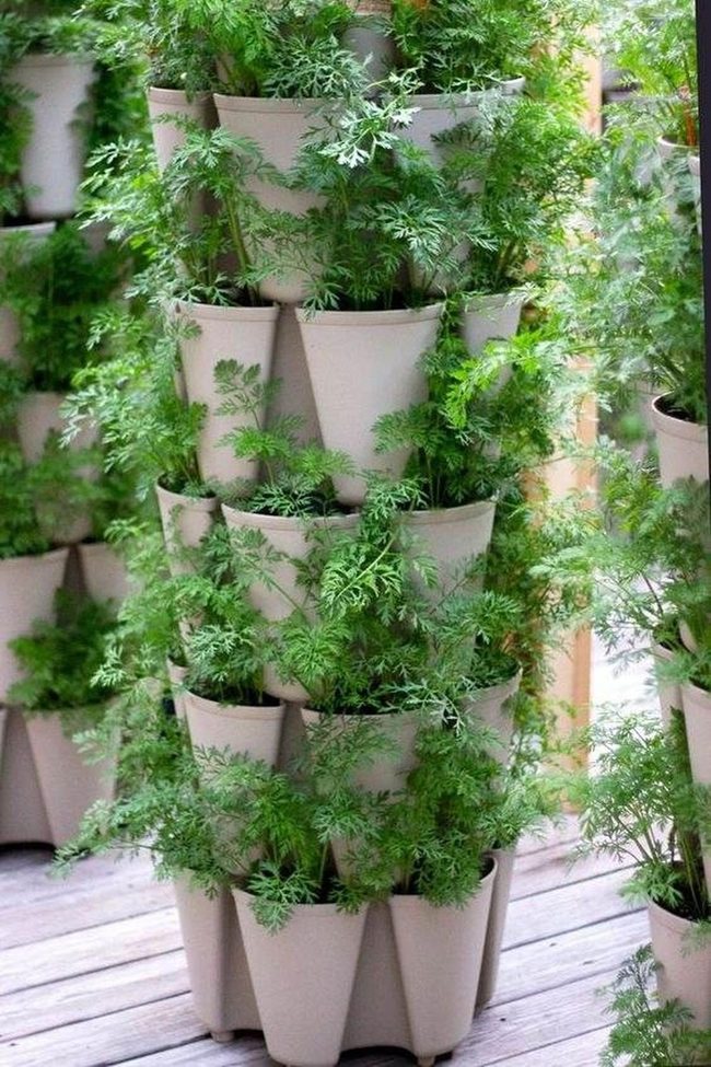 Stacked Herbs And Blooms Wall