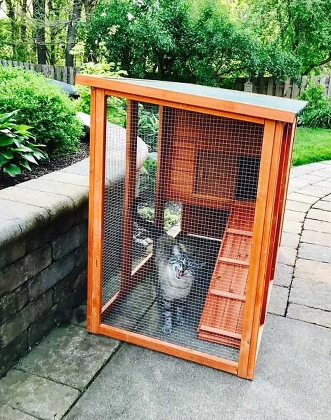 Wooden Catio With Mesh Windows