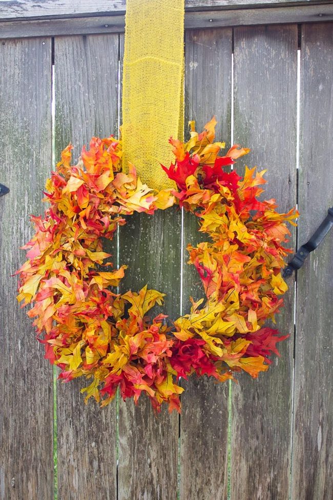 Autumn Leaves Against Weathered Wood
