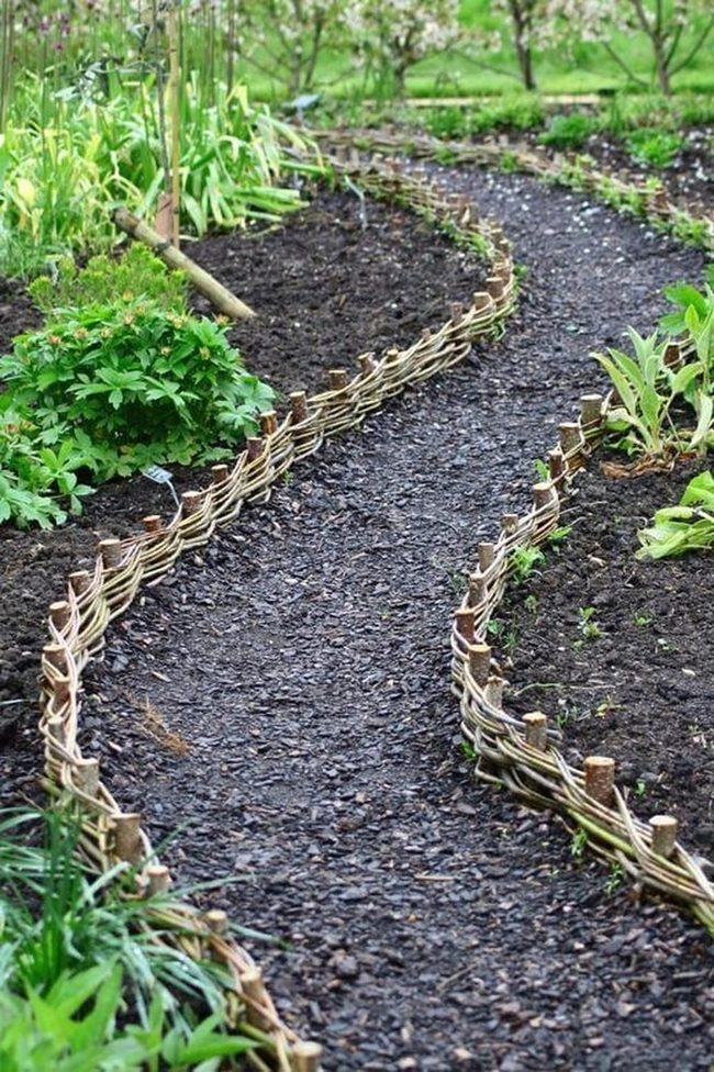 Willow-Lined Garden Discovery