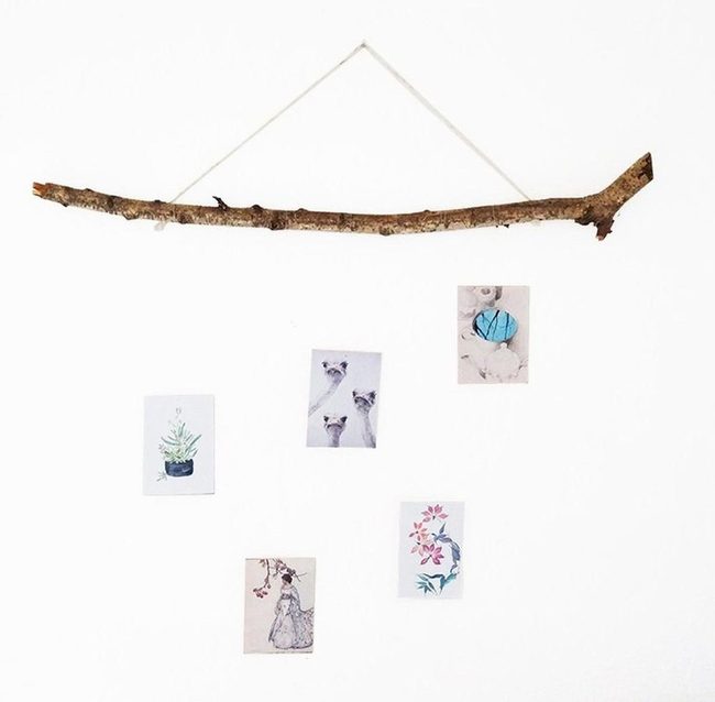 Natural Wood Branch Photo Display