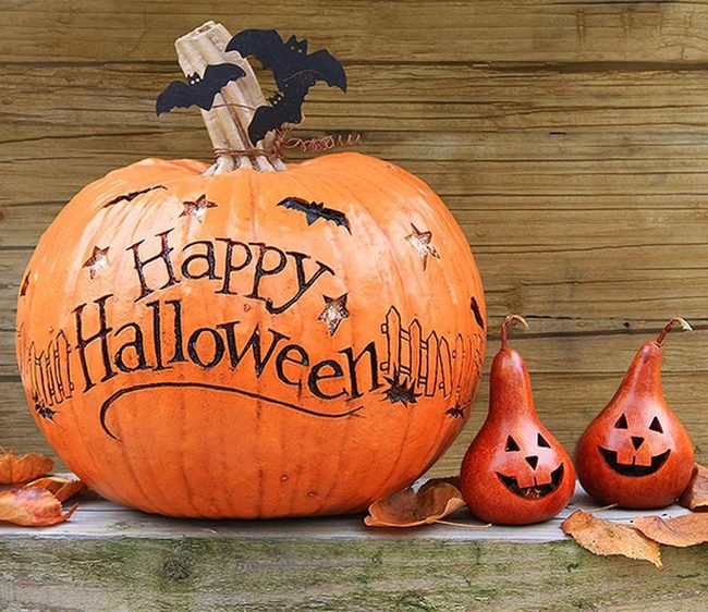 Giant Orange Pumpkin Halloween
