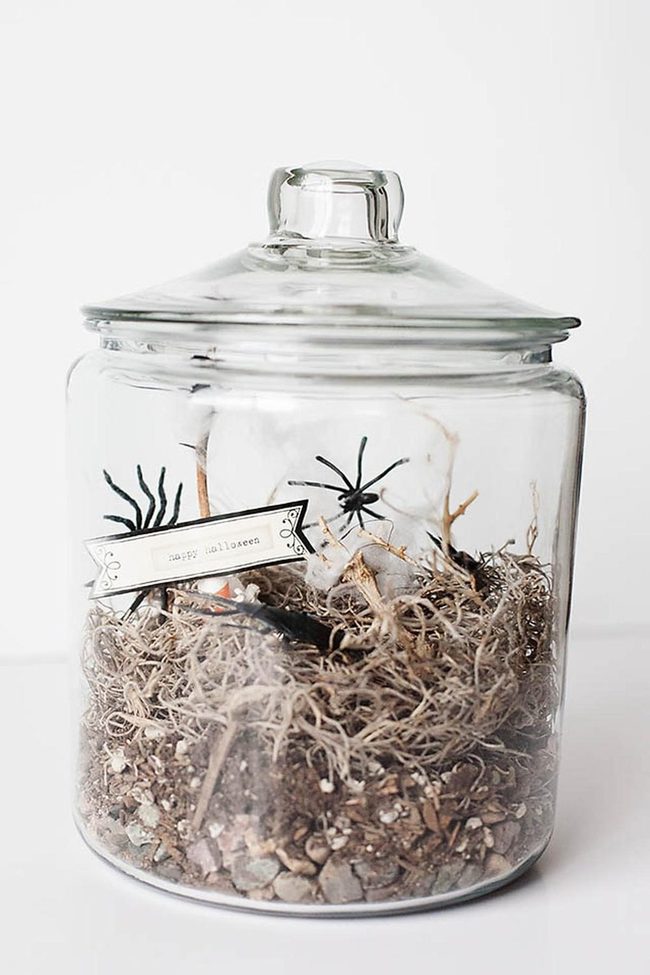 Spooky Spider Glass Terrariums