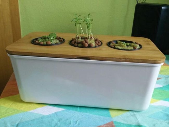White Container Botanical Trio