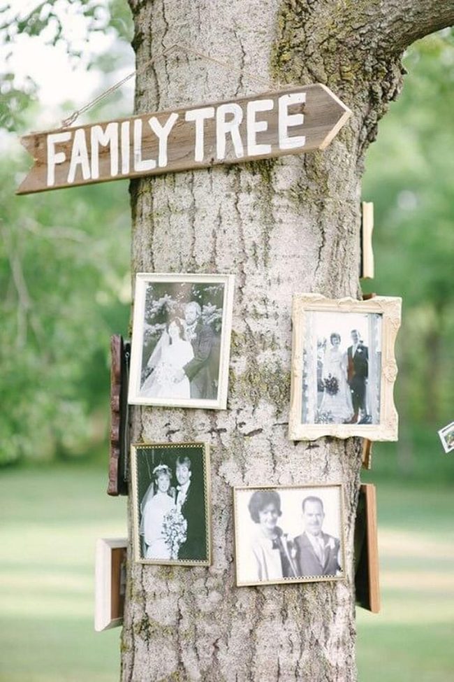 Family Tree Photo Wall