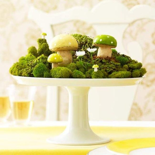 Moss-Covered Mushroom Wonderland