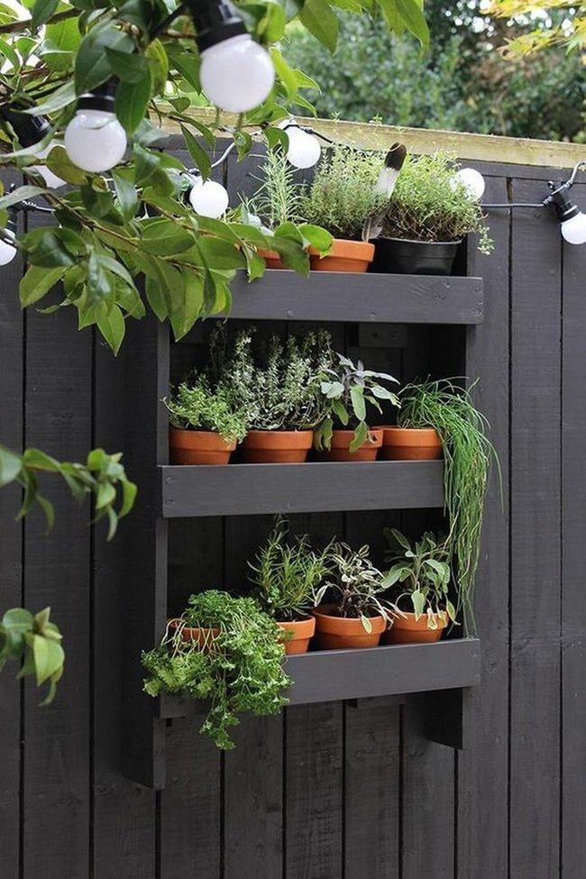 Tiered Terracotta Herb Wall
