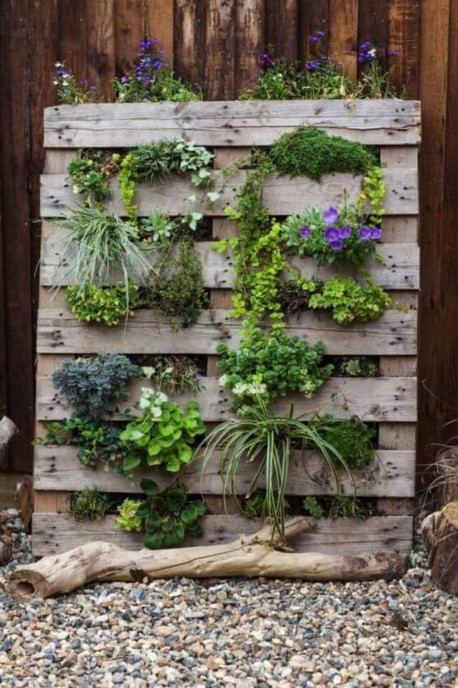 Wooden Pallets, Vertical Gardens