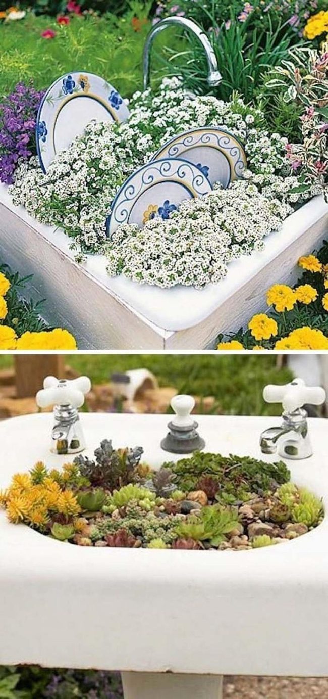 Weathered Sink, Cascading Blooms