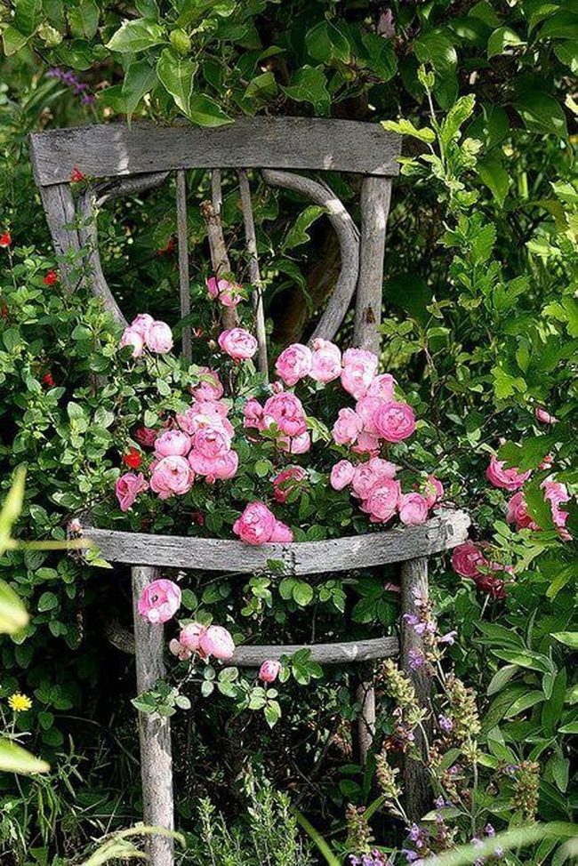 Weathered Wood Rose Planter