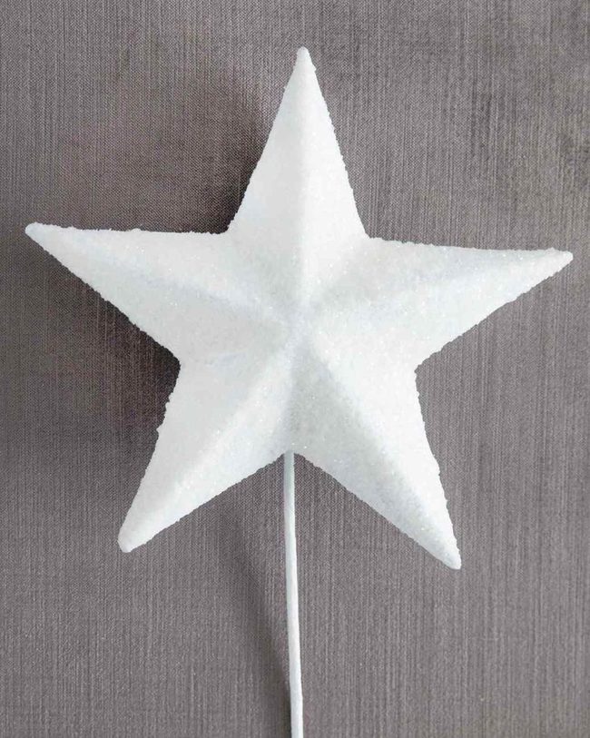White Star Geometric Statement