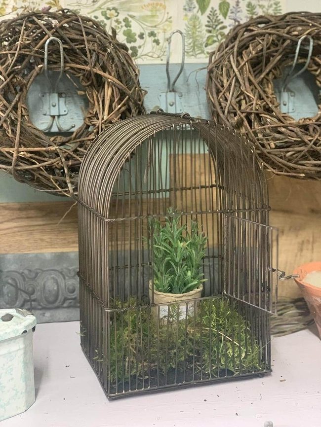 Brass Birdcage Herb Garden